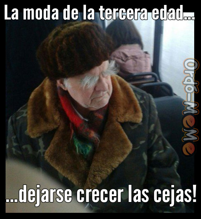 Meme cejas viejito