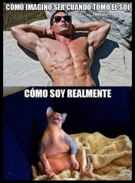 meme como me imagino tomando el sol meme como me imagino tomando el sol