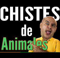 imagen Chistes de animales
